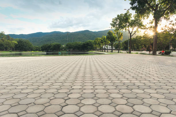 Best Custom Driveway Pavers  in Monette, AR